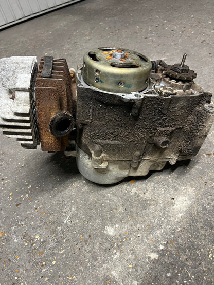 moteur complet d’origine Yamaha Chappy, type DNL, démonté d’un modèle japonais (références : 439, 1F1, 1F3, 550, 551, 511)